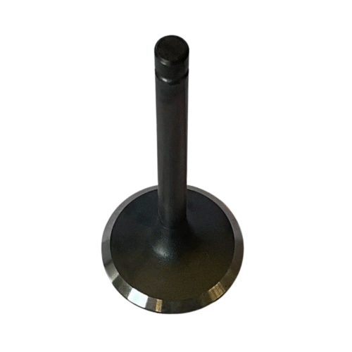 13711-17010 Intake Engine Valve | 1HZ 1HDT 1PZ 2L 3L Engine