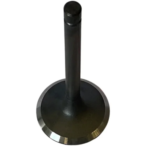 13711-17010 Intake Engine Valve | 1HZ 1HDT 1PZ 2L 3L Engine