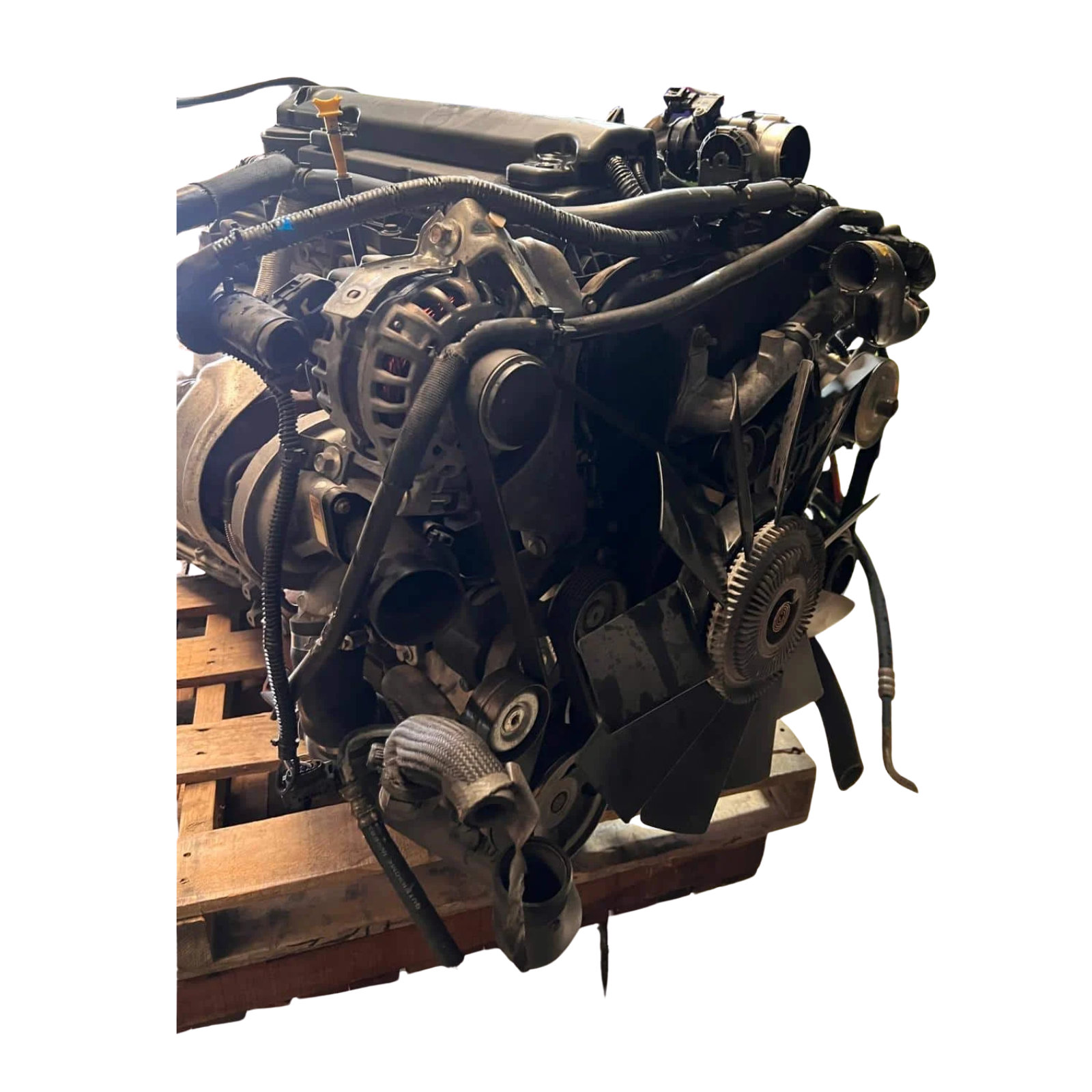 Ford P5AT Engine | OEM Take-Out 4